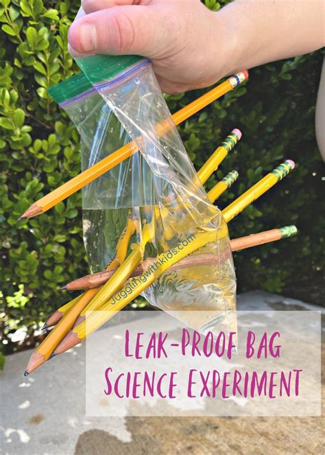 Leak Proof Bag Science Experiment for Kids